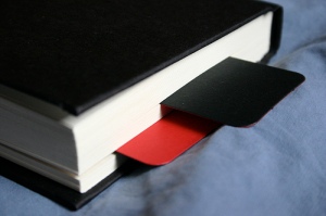 Bookmark from Leather Moleskine Limited Edition